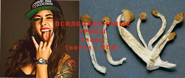винт Абинск