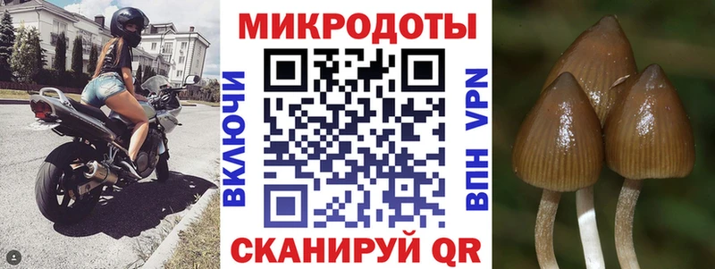 Псилоцибиновые грибы прущие грибы Поворино
