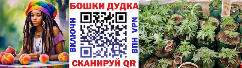 дарнет шоп  Поворино  МАРИХУАНА VHQ 